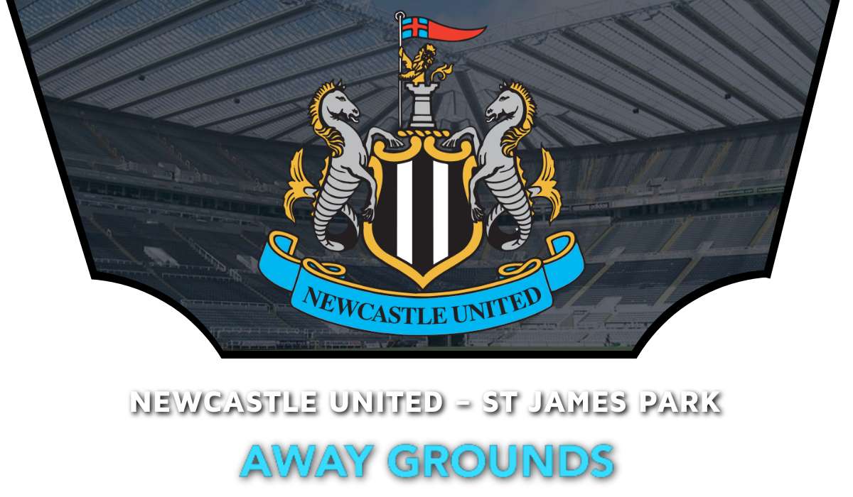 Newcastle United move to within touching distance of Europe with 3-1 win  over Saints